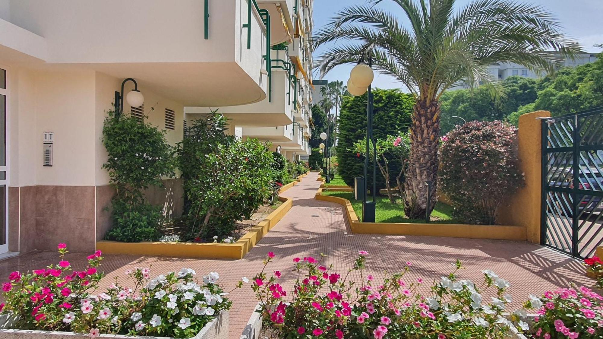 Cancun Playa De Gandia - Solo Alquiler Familias Exteriör bild